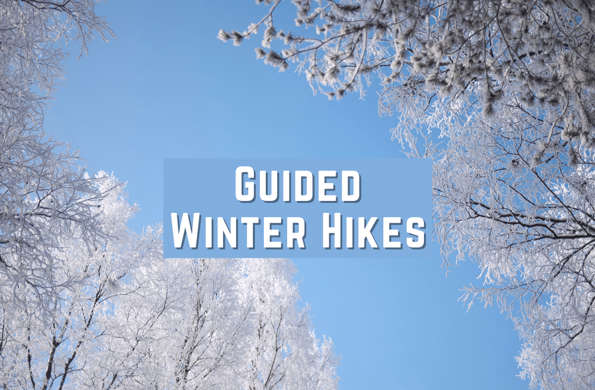 Winter Hikes for Private Groups - The Nature Institute